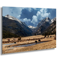 a serene landscape with a group of cows grazing in a field, surrounded by snow-capped mountains under a cloudy blue sky.