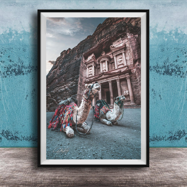 A framed photograph of two camels in front of a large, ancient building with a carved facade, set against a blue wall.