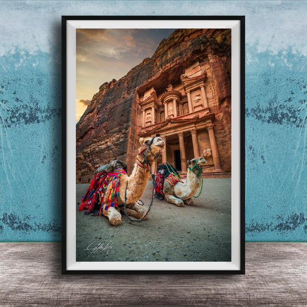 A framed photograph of two camels in front of a large, ancient building with a carved facade, set against a backdrop of a cloudy sky.