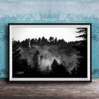 A black and white photograph of a forest landscape with misty mountains in the background.