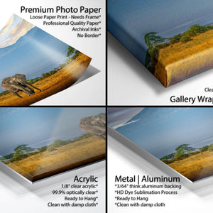 The image is a collage of four photos depicting different types of printed materials, including a canvas print, a metal/aluminum print, a premium photo paper, and a gallery-wrapped canvas.