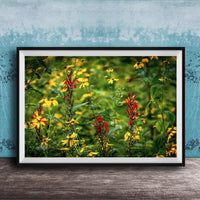 A framed photograph of a vibrant field of yellow and red flowers, with a blue wall in the background.