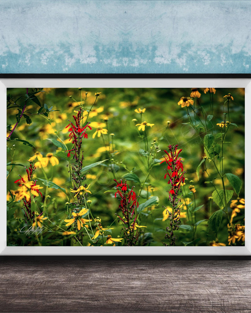 A framed photograph of a vibrant field of yellow and red flowers, with a blue wall in the background.