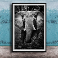 A black and white photograph of an elephant standing in front of a tree, with its large ears and trunk prominently featured.