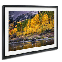 Maroon Bells Wall Art – Autumn Landscape Print with Bull Moose Canvas Decor