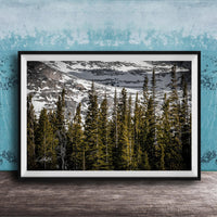 A framed photograph of a snowy mountain landscape with a dense forest of evergreen trees in the foreground.