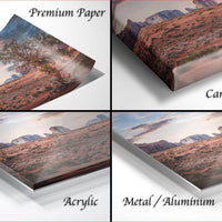 The image is a collage of four different images depicting a desert landscape, with each image labeled as either "Premium Paper", "Canvas Wrap", "Acrylic", or "Metal/Aluminum".