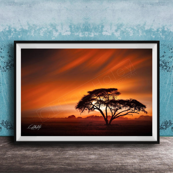 A framed photograph depicting a lone tree silhouetted against a vibrant sunset sky.