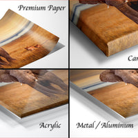 The image is a collage of four different views of an elephant, each with a different finish or material. The text labels the images as "Premium Paper", "Canvas Wrap", "Acrylic", and "Metal/Aluminum".