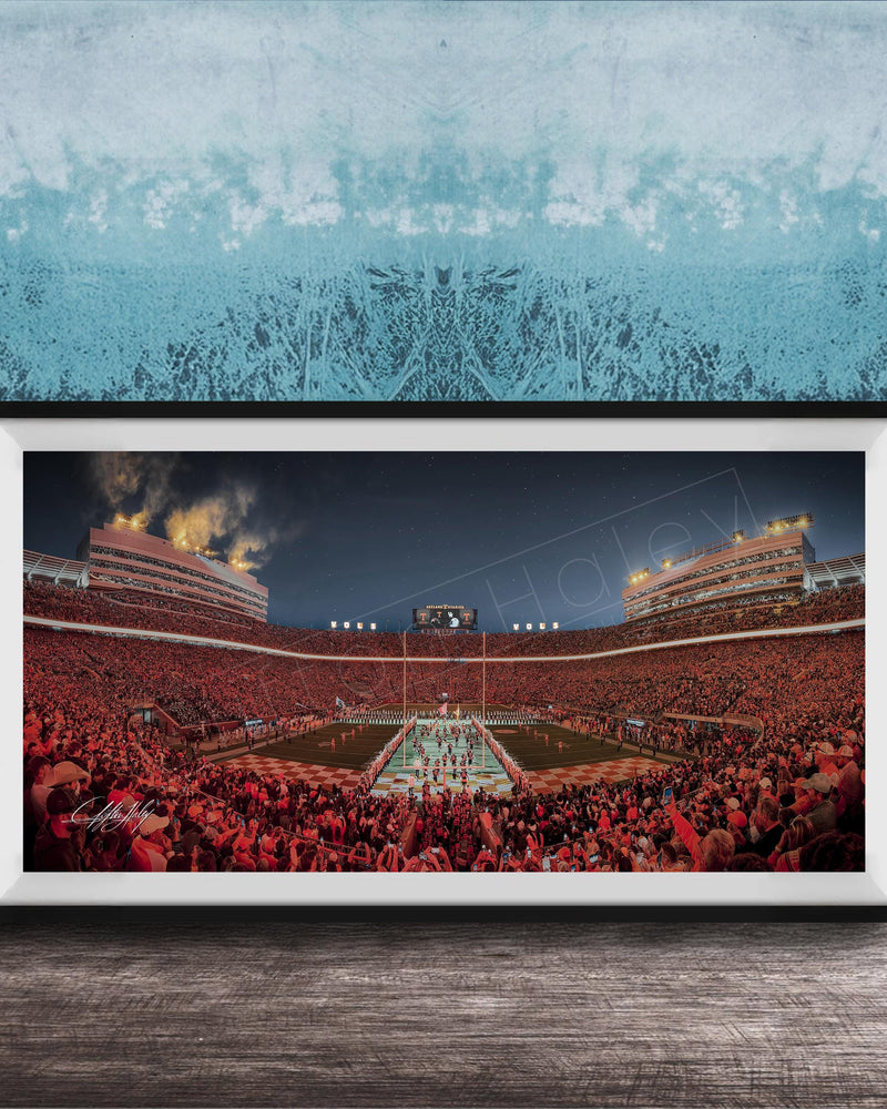A framed photograph of a crowded sports stadium at night, with the stands filled with spectators and the field illuminated by bright lights.