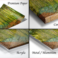 The image is a collage of four different types of printed materials, including a premium paper, a canvas wrap, an acrylic print, and a metal/aluminum print.