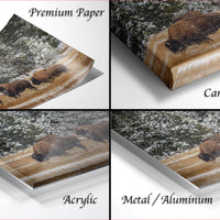 The image is a collage of four different views of a snowy landscape with a group of animals, including what appear to be bison or buffalo. The images are labeled as "Premium Paper", "Canvas Wrap", "Acrylic", and "Metal/Aluminum" to describe the materials used for the prints.