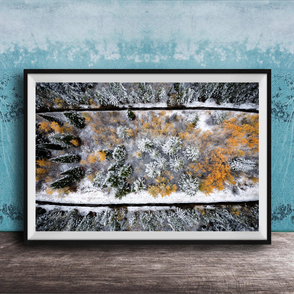 The image is a framed aerial view of a snowy forest landscape with trees covered in snow and some displaying autumn colors.