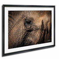 A close-up photograph of an elephant's eye, showcasing the intricate details and textures of its skin.