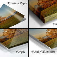 The image is a collage of four different images, each depicting a landscape with a tree and a field. The images are labeled as "Premium Paper", "Canvas Wrap", "Acrylic", and "Metal/Aluminum".