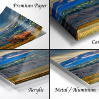 The image is a collage of four different views of a landscape, including a close-up of a landscape, a printed canvas wrap, an acrylic print, and a metal/aluminum print.