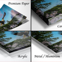 The image is a collage of four different views of a bald eagle in flight, with each view showcasing the eagle in a different setting, such as a tree, a mountain, and a clear sky.