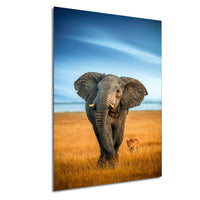 An elephant and a lion standing in a grassy field with a blue sky in the background.