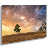 A lone tree stands on a hilltop, overlooking a vast landscape with a dramatic sky and a rocky mountain in the distance.