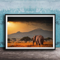 A large elephant stands in a field of tall grass, with a mountain range visible in the background under a dramatic sky.