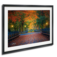 A framed photograph depicting a serene park scene with a path lined with trees displaying vibrant orange and yellow leaves, creating a warm and inviting atmosphere.