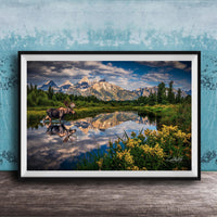 A framed photograph depicting a moose standing in a lake, with mountains and trees in the background.