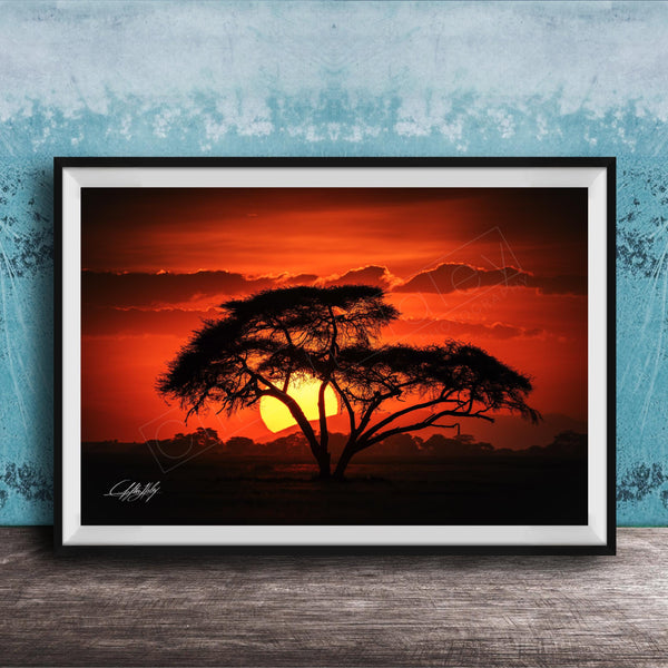 A framed photograph depicting a silhouetted tree against a vibrant sunset sky.