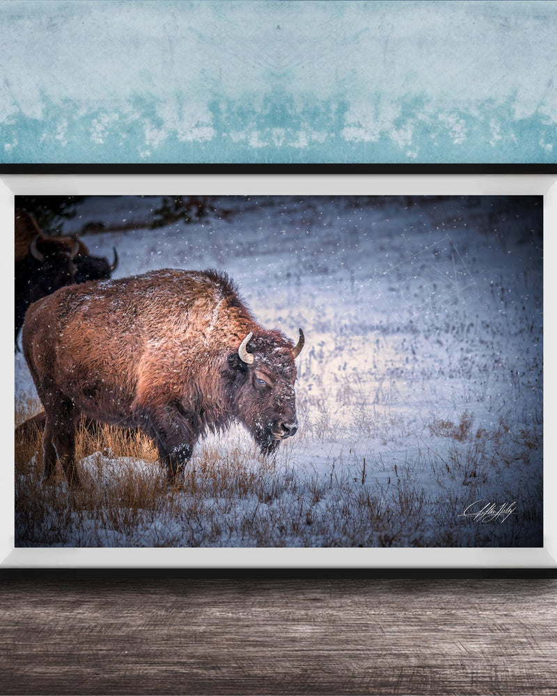 A large brown buffalo with horns is standing in a snowy field, facing away from the camera.