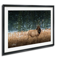 A majestic elk stands in a snowy field, its antlers reaching towards the sky.