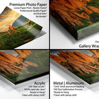 The image is a collage of four different photos, each depicting a landscape with mountains and greenery. The photos are labeled as "Premium Photo Paper Loose Paper Print - Professional Quality Paper - Archival Ink - No Border" and "Gallery Wrapped Canvas".
