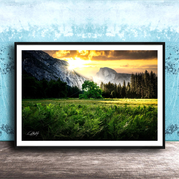 The image is a framed landscape photograph depicting a serene mountain scene with a lush green field, a tree, and a majestic mountain range in the background.
