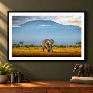 A framed photograph of an elephant standing in a grassy field with a mountain in the background.