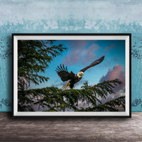 A framed photograph of a bald eagle in flight, with its wings spread wide, against a backdrop of a blue sky with clouds.