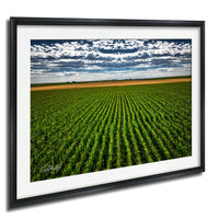 A framed photograph depicting a vast, lush green field with rows of crops stretching out into the distance under a cloudy sky.