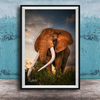 A large elephant with long white tusks stands in a grassy field against a cloudy sky backdrop.