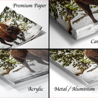 The image is a collage of four photos depicting a bison in a snowy forest setting. The collage includes three close-up shots of the bison and one wide shot of the bison in a forest. The collage is labeled as "Premium Paper", "Canvas Wrap", "Acrylic", and "Metal/Aluminum".