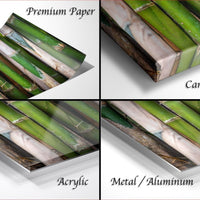 The image is a collage of four photos featuring a close-up view of green bamboo stalks. The photos are labeled as "Premium Paper", "Canvas Wrap", "Acrylic", and "Metal/Aluminum".