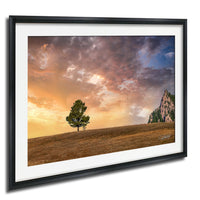 a lone tree standing on a hill, with a dramatic sky in the background featuring a mix of orange, pink, and blue hues, suggesting either sunrise or sunset.