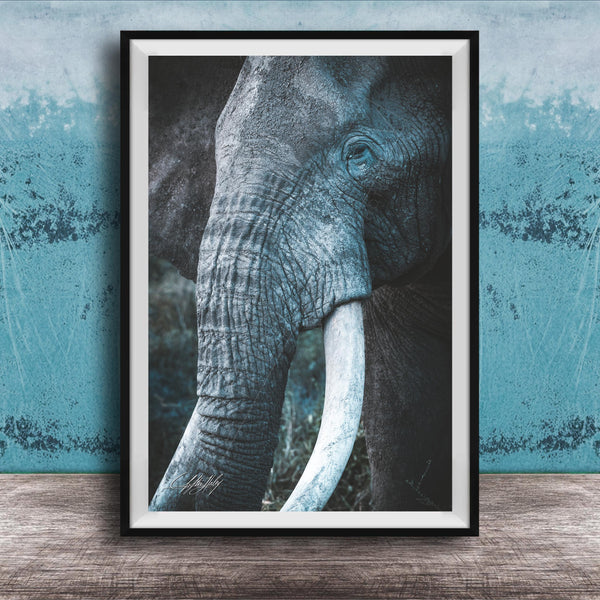 A framed photograph of a majestic elephant, its large white tusks and wrinkled gray skin prominently displayed against a blue and white textured background.