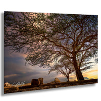 a serene landscape with a large tree in the foreground, its branches reaching out over a rocky terrain. The sky above is filled with clouds, creating a dramatic backdrop for the scene. The overall composition is balanced and harmonious, with the tree and rocks forming a natural and tranquil setting.