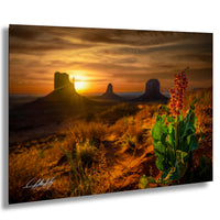 A desert landscape at sunset, with silhouetted rock formations in the background and a vibrant red flower in the foreground.