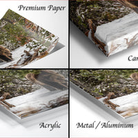 The image is a collage of four different views of a bear in a snowy forest, with each view labeled as either "Premium Paper", "Canvas Wrap", "Acrylic", or "Metal/Aluminum".