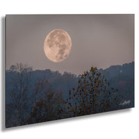 a large, full moon rising over a forested landscape, with the moon's bright light illuminating the trees and creating a serene, atmospheric scene.