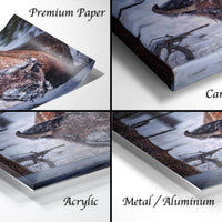 The image is a collage of four photographs depicting a fox in various settings, including a snowy landscape, a forest, and a snowy field.