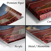 The image is a collage of four different views of a crowded stadium, showcasing the excitement and atmosphere of the event.