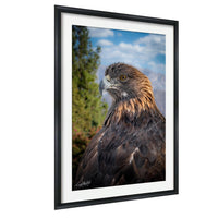 A close-up portrait of a majestic golden eagle, its piercing gaze and powerful wingspan clearly visible against a backdrop of lush greenery and a clear blue sky.