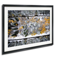 The image is a framed aerial view of a snowy forest with yellow and green foliage.