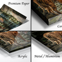 The image is a collage of four photographs depicting a tiger in various settings, including a forest, a rocky cliff, and a jungle.