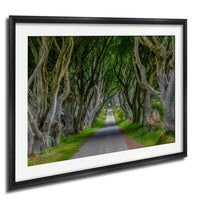 A framed photograph depicting a winding road surrounded by a dense forest of twisted, gnarled trees with lush green foliage.