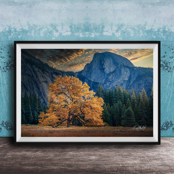 The image is a framed photograph depicting a scenic landscape with a large tree in the foreground, a majestic mountain range in the background, and a blue sky with clouds.